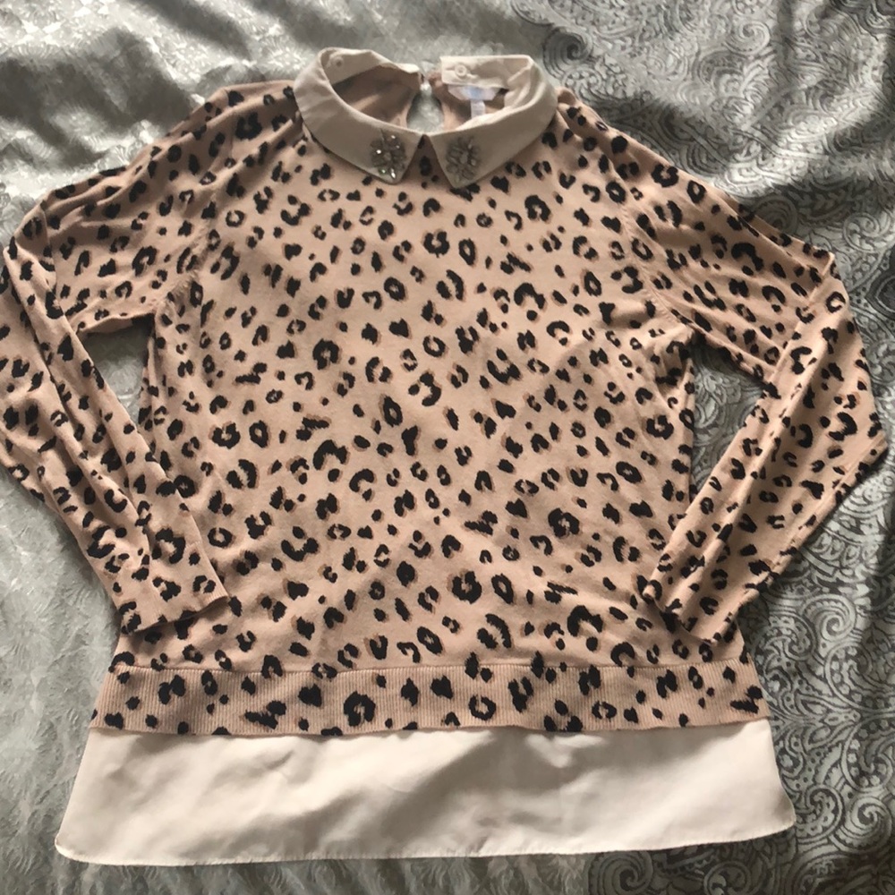 Leopard Sweater with Detachable Embellished Collar